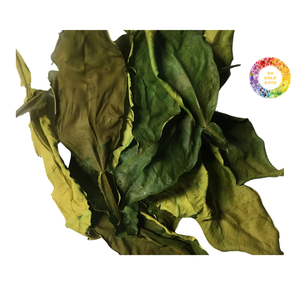 Feuilles de pomelo séchées en gros, idéales pour les infusions à base de plantes, l'aromathérapie et les remèdes naturels - Product Image 3