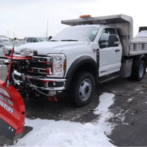 Camion benne utilitaire robuste 4x4 à cabine simple de 9 pieds 7 pouces en acier inoxydable, modèle 2024 - Product Image 6