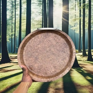 Assiette ronde biodégradable en son de blé naturel, 12 pouces, écologique, durable, jetable, organique, lavable au lave-vaisselle, légère - Product Image 1