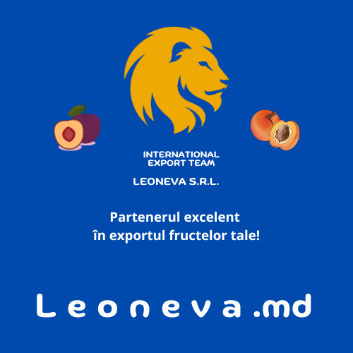 LEONE.VA SRL logo