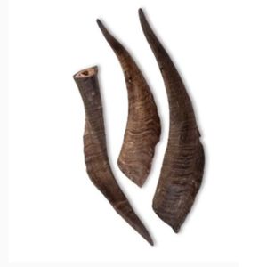 100% masticables naturales de cuerno de búfalo y cabra para perros de larga duración calidad premium - Product Image 1