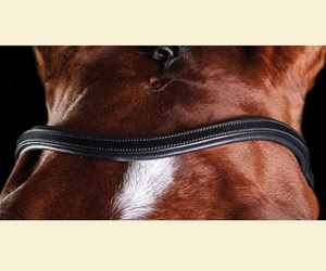 Brida de entrenamiento Tocado de forma anatómica presión uniforme a través de la encuesta para mayor comodidad con banda para las cejas en forma de U - Product Image 4