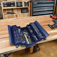 Juego de Herramientas para Reparaciones del Hogar de 67 Piezas, Juego de Herramientas Manuales con Estuche de Almacenamiento, Herramientas de Mantenimiento para el Hogar, Auto y Taller