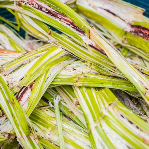 Fabricación de bloques de bagazo de caña de azúcar de Vietnam - Product Image 4