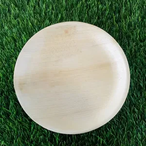 Eco-Friendly Areca Palm Leaf 12 inch Biodegradable Round Shape Party Plates Amazon Walmart USA UK in 2024