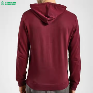 Sweat-shirts à capuche de haute qualité avec logo personnalisé, en molleton épais 500 g/m² ou en tissu éponge français, 100 % coton, épaules tombantes, coupe classique - Product Image 1
