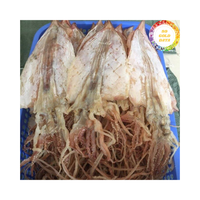 Calmar séché du Vietnam, fabriqué à partir de calmar entier, idéal pour les opérations de rôtissage et les canaux d'exportation de produits de la mer