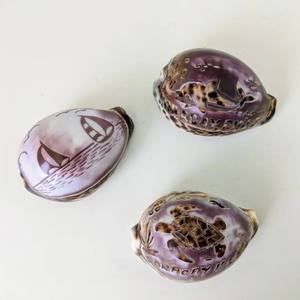 เปลือกหอยที่ปรับแต่งได้สลักมือแกะสลักเปลือกหอยทะเล Cowry Cowry ที่มีรูปแบบที่แตกต่างกัน - Product Image 2