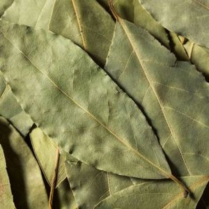 Hojas secas de Guanábana VIETNAM - Product Image 5