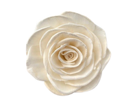 Sola Wood Flower diffuseur de roseau Parfum d'ambiance Fait à la main Sola Flower Echo Friendly Sola Flower Natural to aérer Freshen Reed