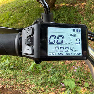 48v 350w Brushless Hub Motor Rear-Drive Foldable Cargo E-Trike 200kg Load Capacity 100-150km Range 25km/h Top Speed 16 Inch Tire - Product Image 3