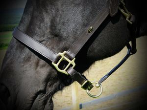 HERITAGE Anglais HEADCOLLAR Cuir Traditionnel Classique Show In Hand HALTER Nouveau - Product Image 5