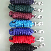 BLUHORSE BH-891 Corde de trelage en nylon solide avec mousqueton chromé en PP, laisse de cheval durable, longueur 2,5 m, diamètre 15 mm, emballage en boîte