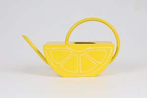 Arrosoir extérieur robuste avec construction en métal résistant à la rouille à long bec poignée confortable pour les pots d'intérieur de jardin de pelouse - Product Image 3