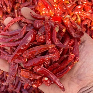 Piments rouges séchés naturels du Vietnam 100% piment rouge pur - Product Image 4