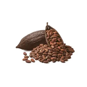 High Quality AUSTRIAN Cocoa Beans - Cacao Beans - Chocolate beans