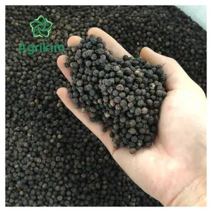 High Grade Dried Black Pepper Great Flavour Carefully Selected Vietnam Origin Affordable Price For Global Market