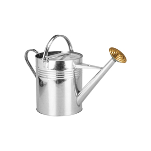 LOW quantité minimale de commande Jardinière en métal fait à la main pour la décoration de la maison et du jardin Décoration de jardin Arrosoir en fer métallique pour la maison - Product Image 1