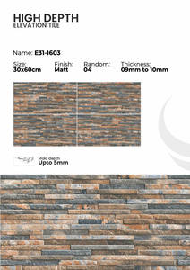 Azulejos de Porcelana para Exteriores de 300x600 mm, Revestimiento de Fachadas de Edificios - Product Image 4