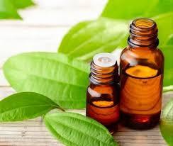 น้ำมันซินนามอนใบอบเชยบริสุทธิ์จาก100% น้ำมันซินนามอนธรรมชาติ100% บริสุทธิ์ - Product Image 5