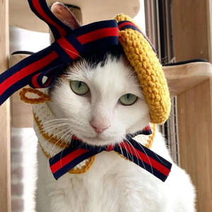 Conjunto de gorro y bufanda de ganchillo Acki, nuevo, con lazo, de plástico, deportivo, con patrón de calabaza de Halloween, para las cuatro estaciones, unisex para adultos y mascotas. - Product Image 2