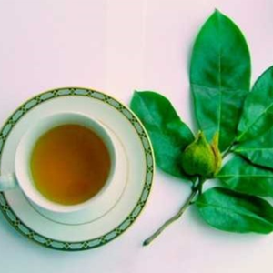 Feuilles de corossol séchées naturelles Produit agricole sans produits chimiques - Product Image 6