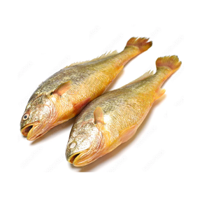 ปลาคร็อกเกอร์เหลืองแช่แข็งราคาถูกที่สุด - Product Image 6