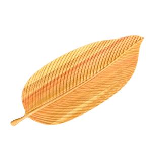 Planche à découper en bois de hinoki artisanale, qualité supérieure pour une expérience culinaire haut de gamme et vente en gros - Product Image 2