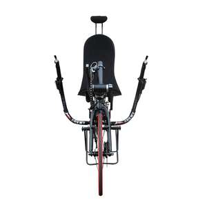 Roues de sport pour longues distances, suspension à amortisseurs pneumatiques, course, Re-cum-bent - Product Image 1