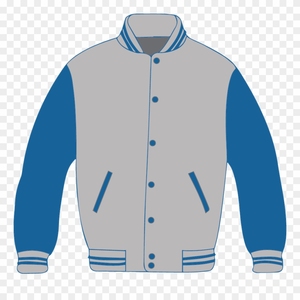 Chaqueta Varsity con logotipo personalizado | Manga College Baseball | Estilo Letterman bordado - Product Image 3