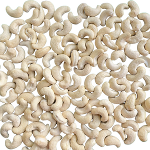 Meilleur taux de noix de cajou brutes en coquille Ww180 210 Ww320 Santigo Factory Vietnam en gros exporté vers l'UE, Moyen-Orient - Product Image 1