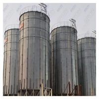 Silo di Stoccaggio per Chicchi di Caffè in Acciaio Zincato a Doppio Strato a Prezzo di Fabbrica, Durata 25-40 Anni, con Controllo PLC SIRO per l'Esportazione