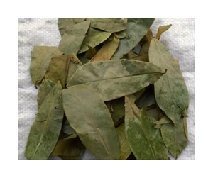 Feuilles de corossol séchées naturelles, feuilles de corossol séchées propres pour la fabrication de tisanes, feuilles de corossol séchées en vrac, approvisionnement en gros avec une bonne offre - Product Image 3