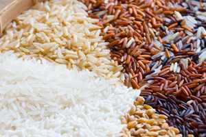 Arroz Integral Orgánico Vietnamita de Grano Corto, Arroz Basmati, Jazmín y Sella Cultivado Fresco en los Países Bajos, Arroz Parboiled de Textura Dura, Grado Superior 24 - Product Image 5