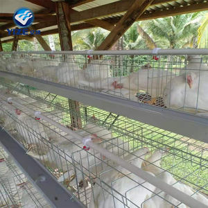 Gallinero Extra Grande <span class=keywords><strong>de</strong></span> Madera, Jaula para <span class=keywords><strong>Gallinas</strong></span>, Corral <span class=keywords><strong>de</strong></span> Cría, Jaulas para Pollos en <span class=keywords><strong>Venta</strong></span> - Product Image 2