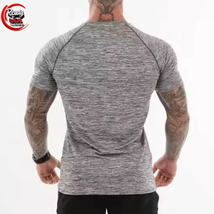 Camiseta de Lona 100% Poliéster para Hombre, Corte Regular, Secado Rápido, Manga Larga/Corta, Estampado Personalizado, Diseño Liso, Venta al Por Mayor - Product Image 4