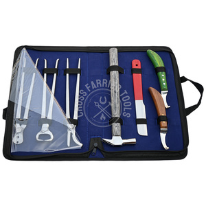 Ensemble de coupe-ongles pour chevaux, outils de maréchal-ferrant, manche vert, couteau à ongles, pince à ongles, tire-ongles, couteau à doigts, marteau à lame en D, kit d'entretien pour chevaux - Product Image 1