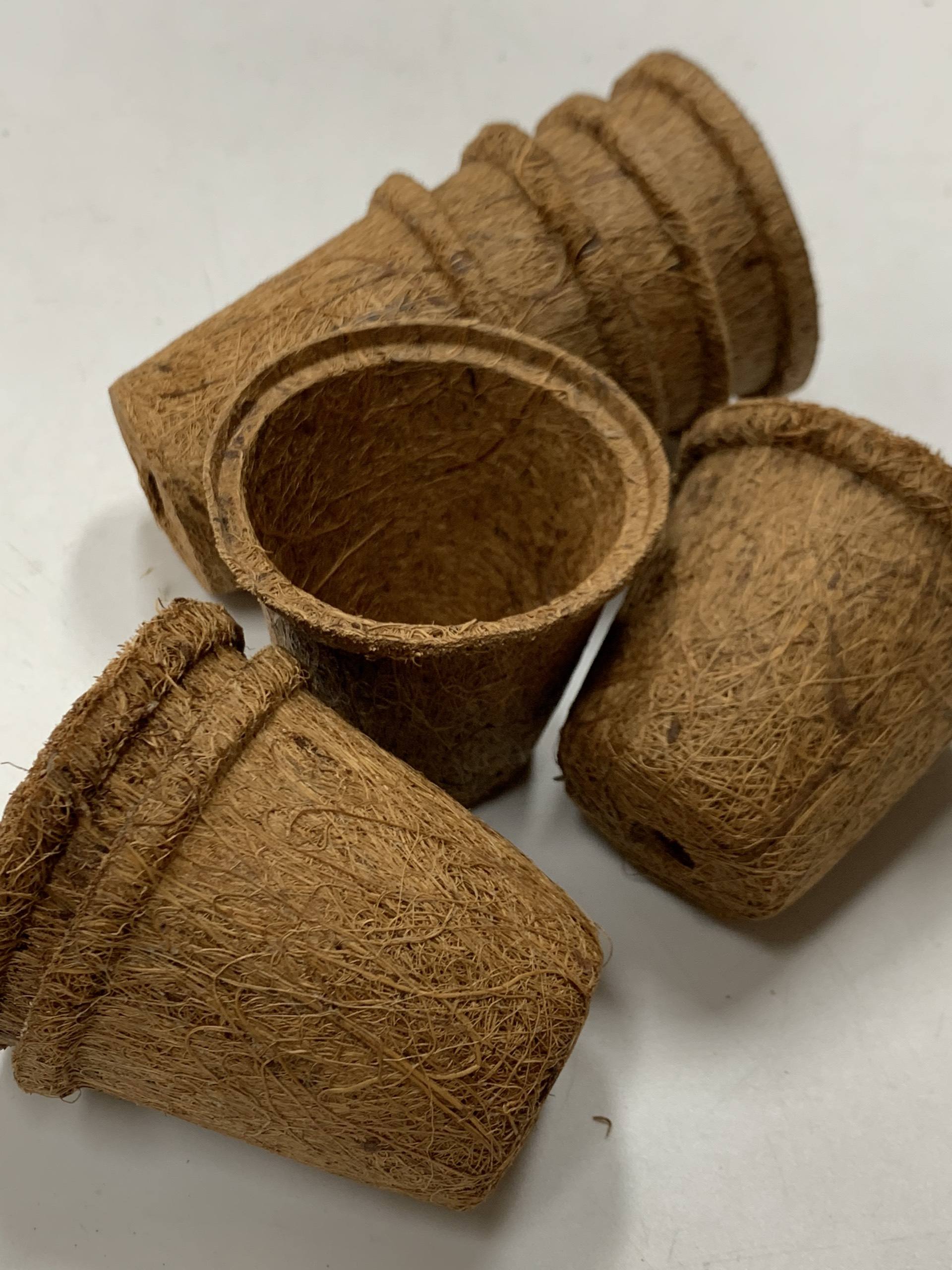 ธรรมชาติ