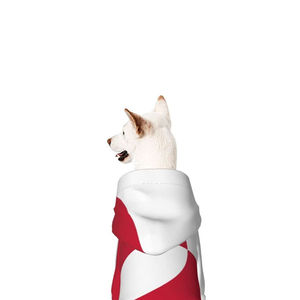 Sweat à capuche pour chien en coton double couche doux et chaud, imprimé classique, manteau d'hiver avec ajustement réglable pour temps froid, best-seller - Product Image 5