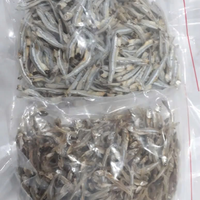 VENTE CHAUDE 2024 POISSON D'ANCHOIS SÉCHÉS EN VRAC/ANCHOIS SÉCHÉS DU FOURNISSEUR DU VIET NAM AU MEILLEUR PRIX