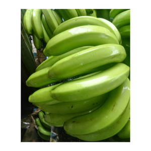 Sweet Cavendish, Direct Farm Premium Cavendish Bananas Cavendish fresco de Vietnam - Product Image 1