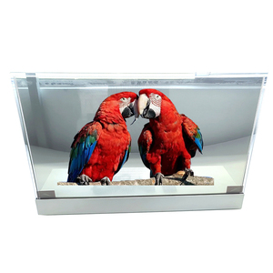 Écran oled transparent de 30 pouces supportant LW300PXL-HRT1 <span class=keywords><strong>tactile</strong></span> capacitif 1366 (RVB) * 768 affichage numérique OLED transparent - Product Image 2