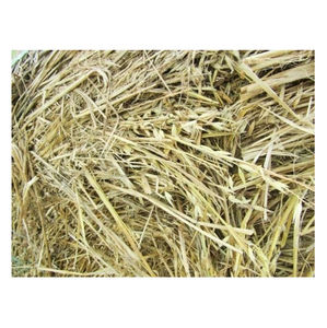 Fardos de alfalfa (heno de alfalfa), fardos de heno de Timothy, heno de avena - Product Image 4