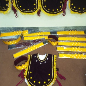 MASÓNICO REGALIA HOJ HEROINAS DE JERICHO DELANTAL CON EL CROWN-HSE - Product Image 6