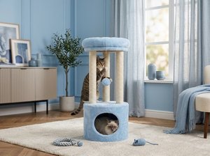 Tour à chat Atlanta Blue Sky avec jeu doux et ludique - Product Image 4