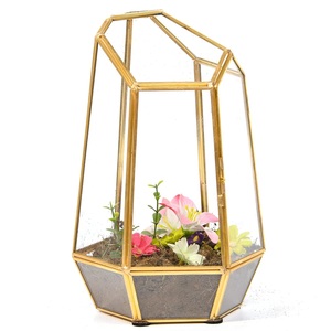 Terrario de Vidrio Geométrico con Acabado Dorado de Diseño Hermoso para Suculentas, Maceta de Terrario de Diseño Único para Decoración de Eventos - Product Image 6