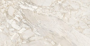 Carreaux de porcelaine DLG-80 polis et mats de haute qualité pour les cuisines, les salles de bains et les espaces de vie disponibles en grande quantité - Product Image 2