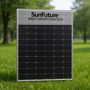 Panneau solaire Sunfuture SF660-132HCM12 - Product Image 3