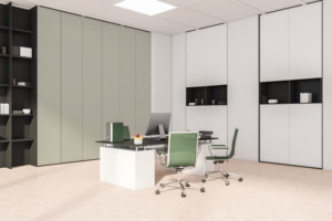 SF-6001 HPL Catégorie de produit pour Home Office Inde - Product Image 2