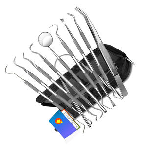 Ensemble de 10 outils de nettoyage de dents en acier inoxydable allemand de haute qualité Kit d'outils de diagnostic dentaire industriel bricolage personnalisable OEM - Product Image 5